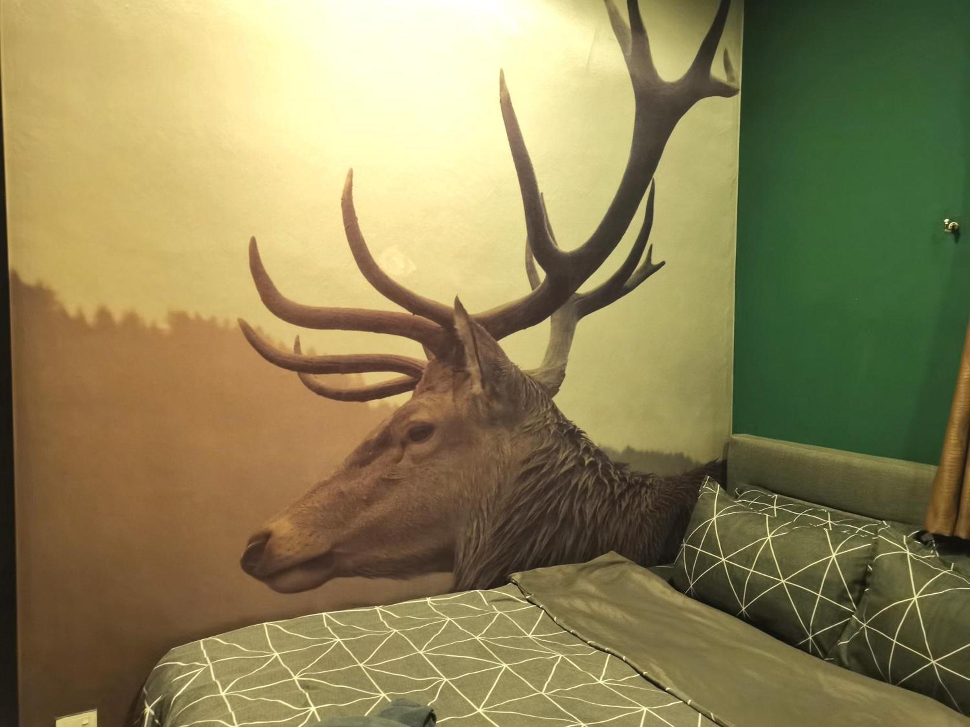 קואלה לומפור Cozy Forest Themed Homestay 4 Bedroom מראה חיצוני תמונה